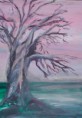 /album/baume/baum-6-von-17-jpg/